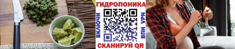 Canna-Cookies конопля Пустошка