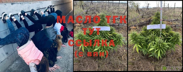 дмт Инсар