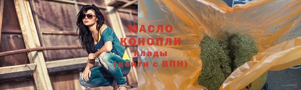 дмт Инсар