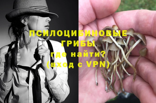 гашик Зеленокумск