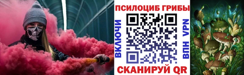 Купить  Пустошка  Галлюциногенные грибы Cubensis 
